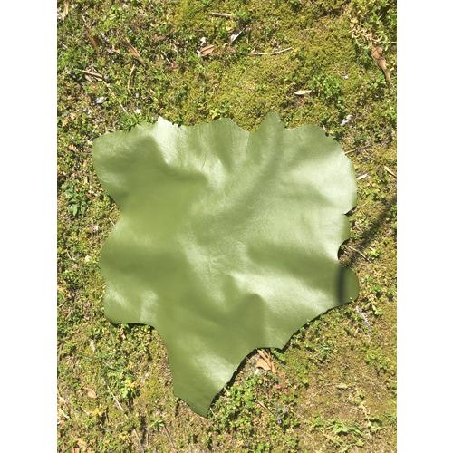 カンガルー革/若草色 リエゾック