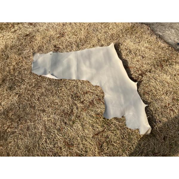 馬革/光沢ゴールド リエゾック