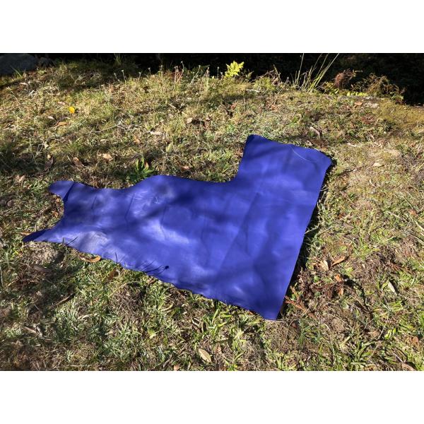 スムース革/パープル リエゾック