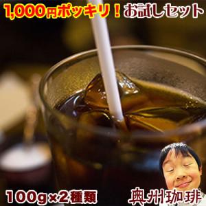 初回限定（ネコポス便）送料無料 奥州珈琲のアイスコーヒー豆お試しセット100g×2個