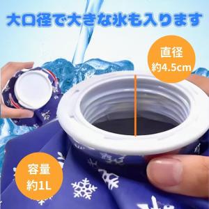 冷感 タオル 氷嚢 氷のう ひんやり アイシン...の詳細画像4
