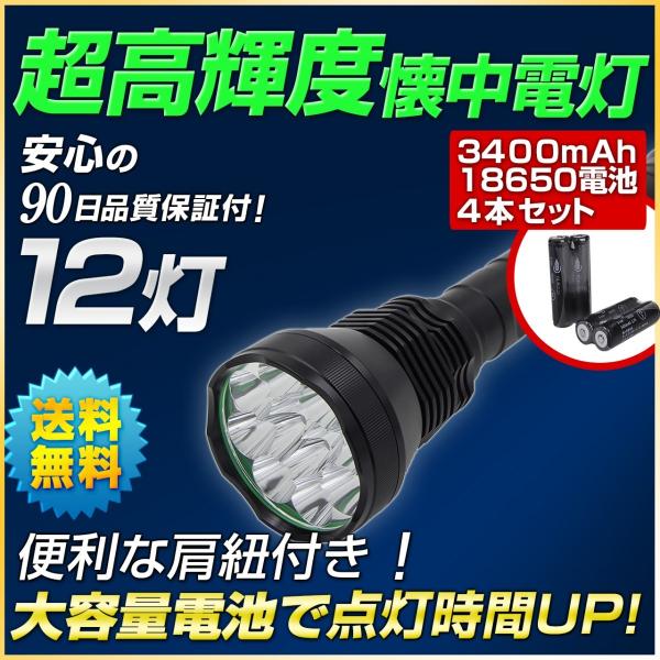 LED強力ハンドライト 18650充電池セット カブトムシ クワガタ 強力照射 夜釣り