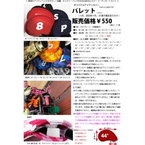 迷彩ブルー(発売開始)五代目!窓無しアイアンカ...の詳細画像1