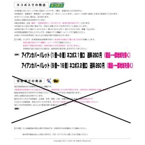 迷彩ブルー(発売開始)五代目!窓無しアイアンカ...の詳細画像4