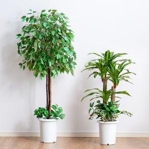 人工観葉植物アウトレットの商品一覧 通販 Yahoo ショッピング