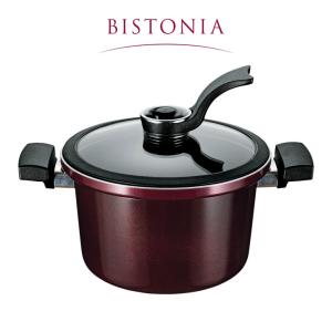 鍋 19cm ih 煮込み鍋 真空 減圧鍋 真空調理 真空煮込み鍋 煮込み料理 両手鍋 両手なべ ガス対応 IH対応 レシピ付き ビストニア MB-2915