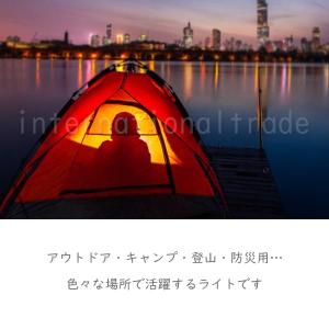 【送料無料 1000円 ポッキリ 】 カラビナ...の詳細画像1