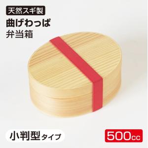 ミニ 餅つき セット 食べ切り 2合用 みかげ石 【実演DVD・説明書付き