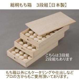 TONBO（新輝合成） トンボ もち箱 2段 フタ付（フードコンテナセット