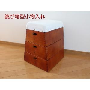 TOBIcoBACO トビコバコ・5段 跳び箱収納シリーズ 小物収納 跳び箱