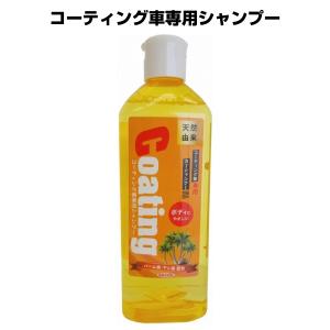 【アウトレット品】 WILLSON ウイルソン コーティング車専用 カーシャンプー 480mL ab-002-011｜outletconveni