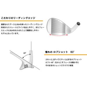 パワービルト ウェッジ ツアーシリーズ バイブ...の詳細画像4