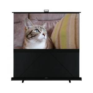 【新品/取寄品】GFP-80HDW [80インチ グランヴューホワイト]