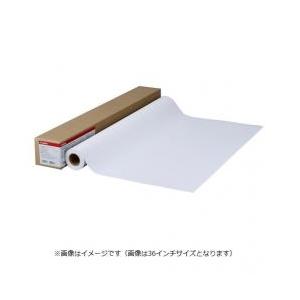 キヤノン プリントヘッド PF-10 純正品 0861C001（imagePROGRAF PRO