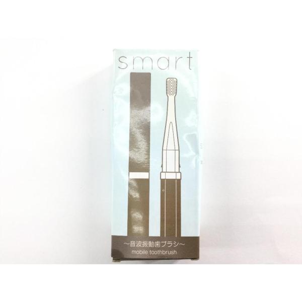 音波電動歯ブラシ 毎分約12000ストローク音波振動するブラシヘッド smart ペンタイプ 虫歯予...