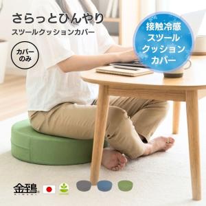 トゥルースリーパー（True Sleeper） 低反発座布団 ショップジャパン