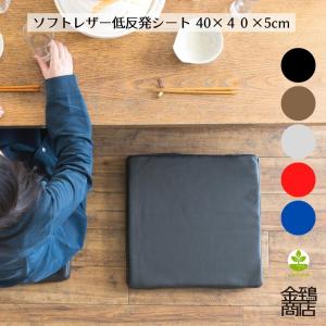 トゥルースリーパー（True Sleeper） 低反発座布団 FN005940 【正規品