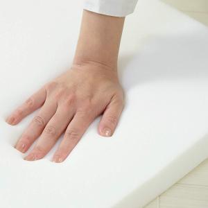 ヌードクッション シートクッション中身 45×...の詳細画像1