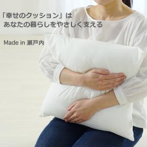 ヌードクッション シートクッション中身 45×...の詳細画像4