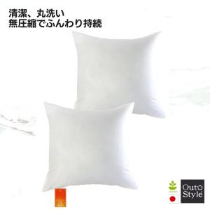 ヌードクッション 日本製 背当て クッション中身 2個セット