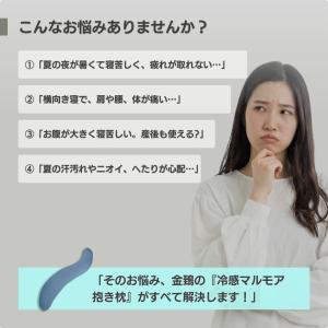 冷感抱き枕 抱き枕 冷感 妊婦 ビーズだき枕 ...の詳細画像1