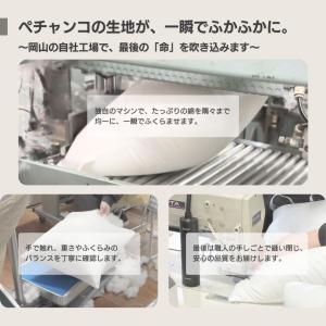 ヌードクッション クッション中身 45×45 ...の詳細画像3