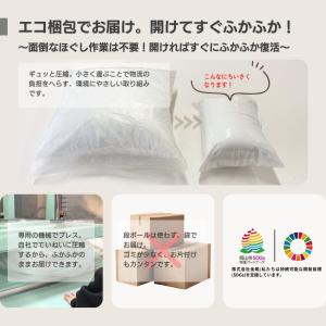 ヌードクッション クッション中身 45×45 ...の詳細画像4