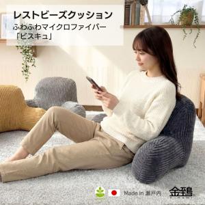 スウィッチ ティーブロック クッション SWITCH T BLOCK CUSHION 送料