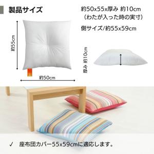 ヌード座布団 ヌードクッション 55×59 中...の詳細画像2