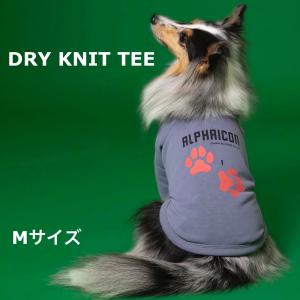 アルファアイコン 2024年モデル ドライニットティー Mサイズ ALPHAICON DRY KNIT TEE / 犬服 吸水速乾 UVカット｜outtail