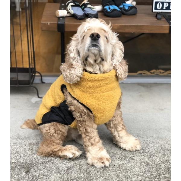 ボアベスト(中型犬用)