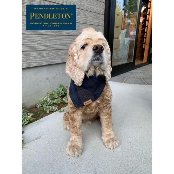 PENDLETON Bandana L/XL（ペンドルトン） ワンちゃん用バンダナ　バンダナ Ｌ/Ｘ...