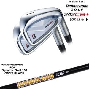 T-Series タイトリスト T100 アイアン6本set(5I-PW) ブラックボロン[5P