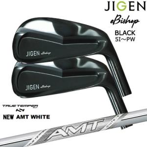 Titleist（タイトリスト） 2023 T350 TENSEI AV RED AM2 アイアン6本
