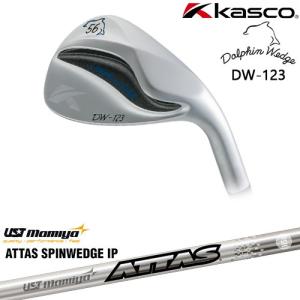 Dolphin Wedge ドルフィンウェッジ DW-125G シルバー ウェッジ[WD