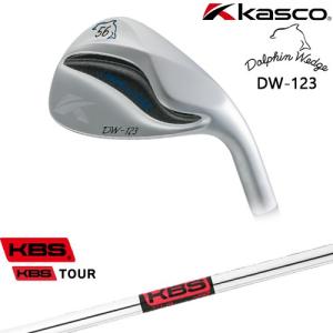 キャスコドルフィンウェッジDW-123 50度 ラウンド１回美品 Dolphin Wedge ドルフィンウェッジ DW-123 シルバー ウェッジ [WD