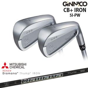 EON SPORTS（イオンスポーツ） 【工房カスタム】GINNICO ジニコ CB+