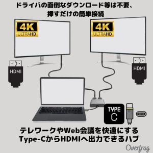 Lazos 2in1 Type C ハブ L-...の詳細画像2