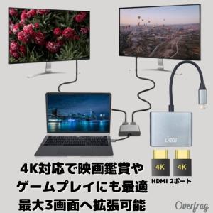 Lazos 2in1 Type C ハブ L-...の詳細画像3