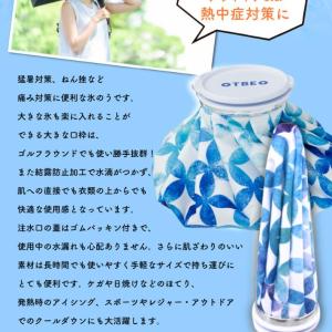 氷嚢 氷のう ゴルフ スポーツ ひょうのう 結...の詳細画像3