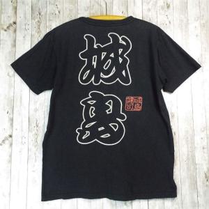 【レア　阪神時代のマッケンジー】阪神タイガース　城島健司　ロゴ入り　Tシャツ｜Lサイズ｜USED｜ポイント消化｜over30