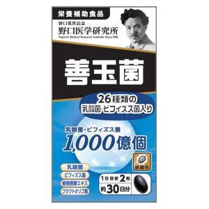 ●全品Point5倍!最大倍率50%●善玉菌 野口医学研究所 乳酸菌 ビフィズス菌 1000億個 30日分 栄養補助食品