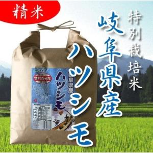 米2kg お米  精米 岐阜県産 美濃ハツシモ 5年産 特別栽培米