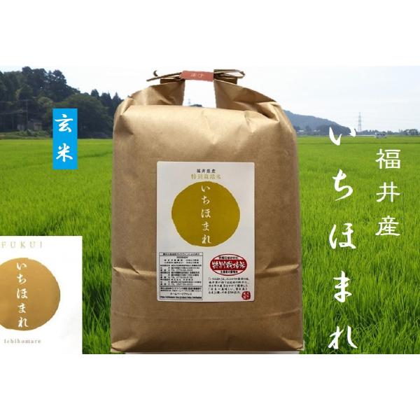 米5kg お米 玄米 いちほまれ 5年産 特別栽培米 化学肥料不使用 福井産