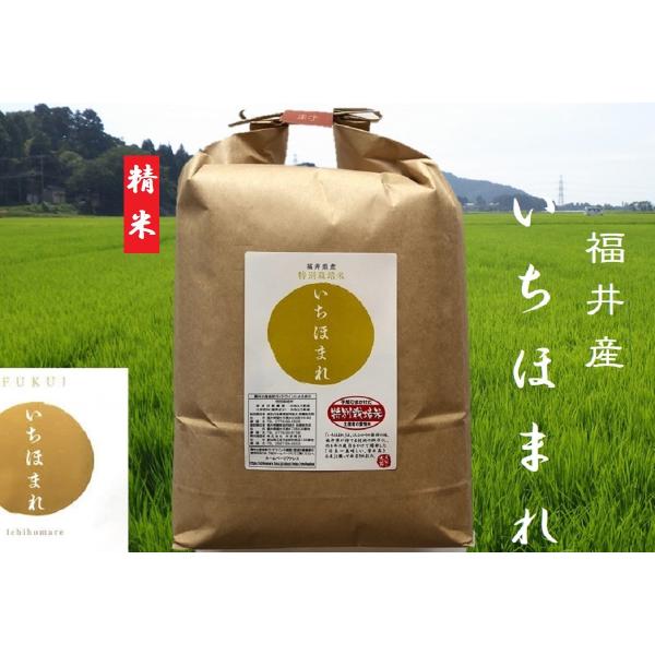 米5kg お米 いちほまれ 5年産 特別栽培米 化学肥料不使用 福井産