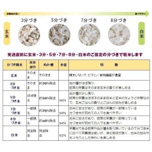 米 お米 ササニシキ 5kg 7年産 特別栽培...の詳細画像2