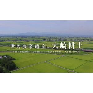 米 お米 ササニシキ 5kg 7年産 特別栽培...の詳細画像3