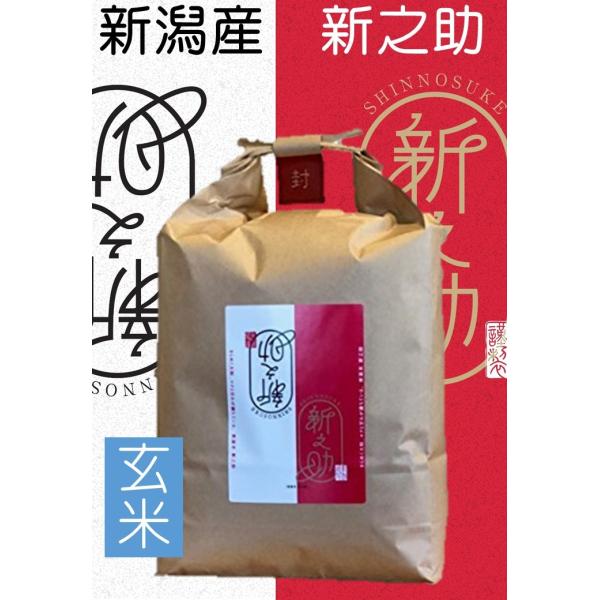 お米 玄米 2kg 5年産 新潟産 新之助