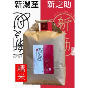 コシヒカリ 新潟県佐渡産 特別栽培米 「朱鷺と暮らす郷」 玄米10kg