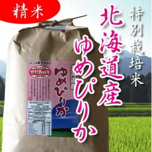 ゆめぴりか 北海道産ゆめぴりか 玄米10kg 令和7年 1等 : 藤勝商店